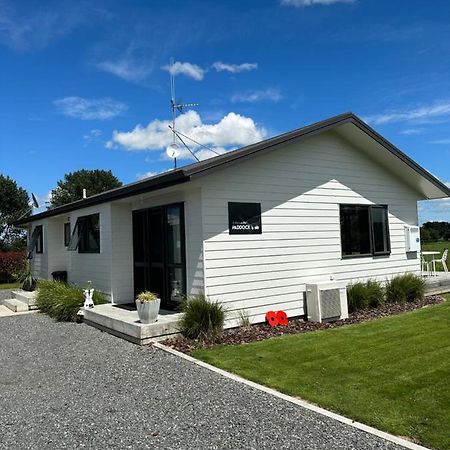 A Place In The Paddock Matamata Exterior photo