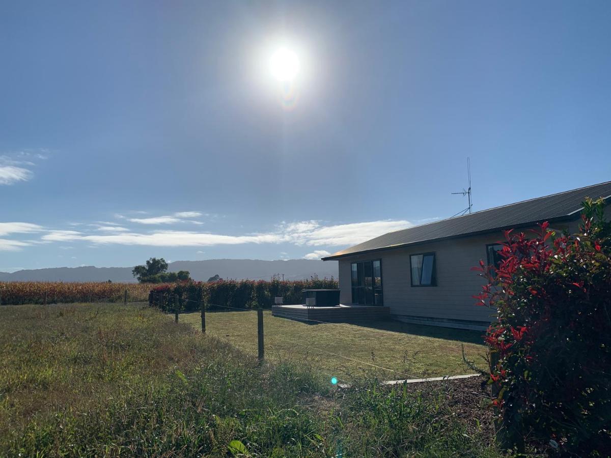 A Place In The Paddock Matamata Exterior photo