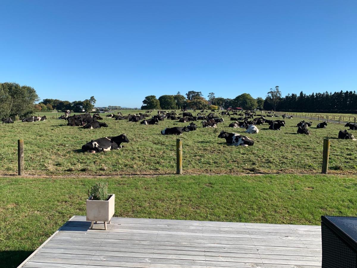 A Place In The Paddock Matamata Exterior photo